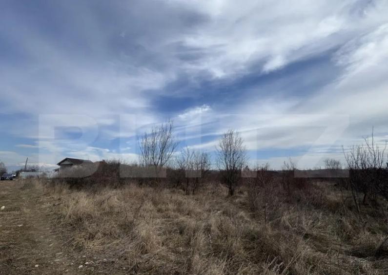 Teren extravilan de vanzare, 15.000 mp, zona Narcise II - 2