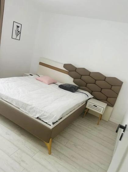 Apartament 3 camere-de inchiriat-Torontalului - 5