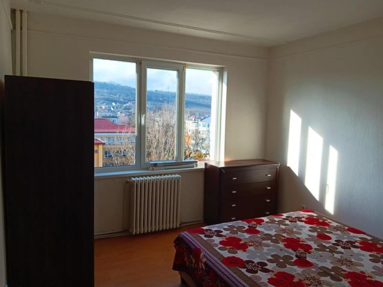 Alexandru Cel Bun Piata Voievozilor apartament 3 camere 77 mp cu CT - 9