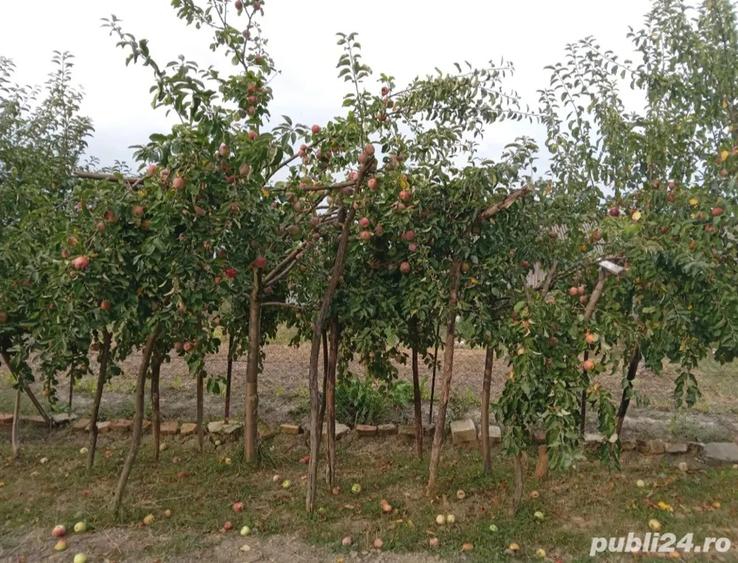 Vand casa caramida an 2000 - 5