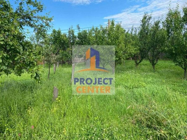 Teren intravilan 7600 mp, Dealul Viilor - 4