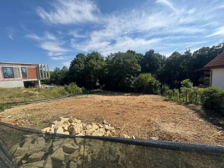 1000 mp , Bucium spre Barnova , in padure , intre case - 1