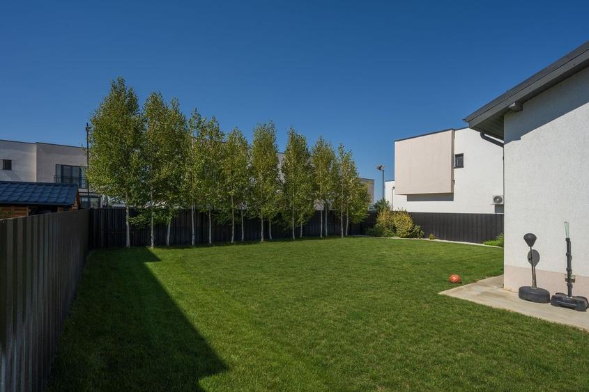 Casa cu Mesteceni!  Complex Lalelelor Domnești - 18