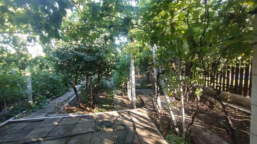 Casa, gradina, teren mare - Palazu Mare - 9