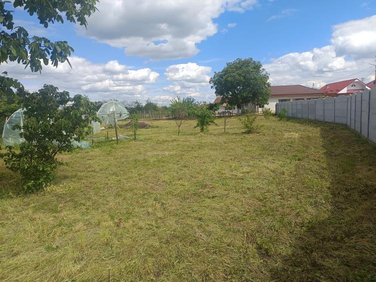 Casa si teren de vanzare - 5