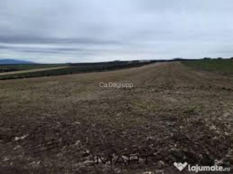 5 hectare teren agricol in comuna Olteni din judetul Teleorman