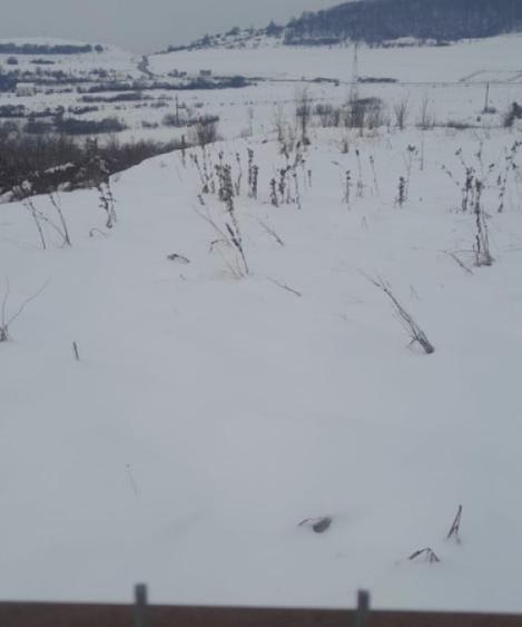 Teren de 5683 mp, în Cordos