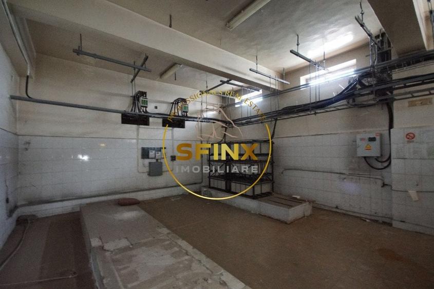 Spațiu comercial, de 2,300 mp, în Mărgeanului