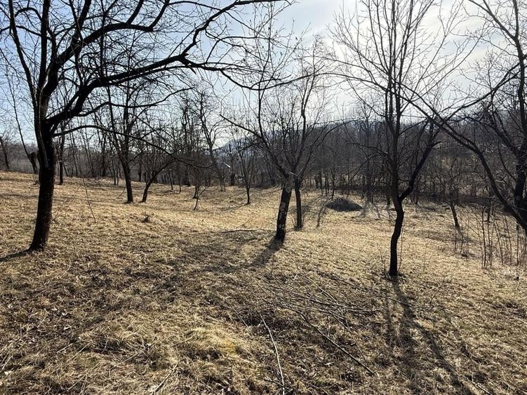 Teren Construcții intravilan de 2788 mp, în Central