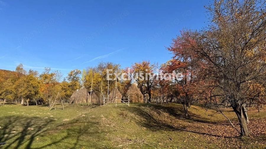 Teren de 7500 mp, în Sălătrucu