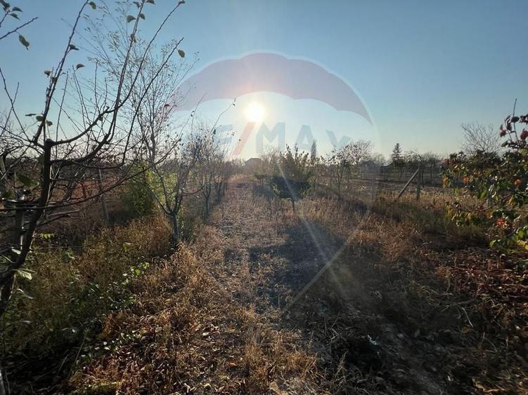 Casă cu 4 camere cu Teren 899 Mp în Grebănu