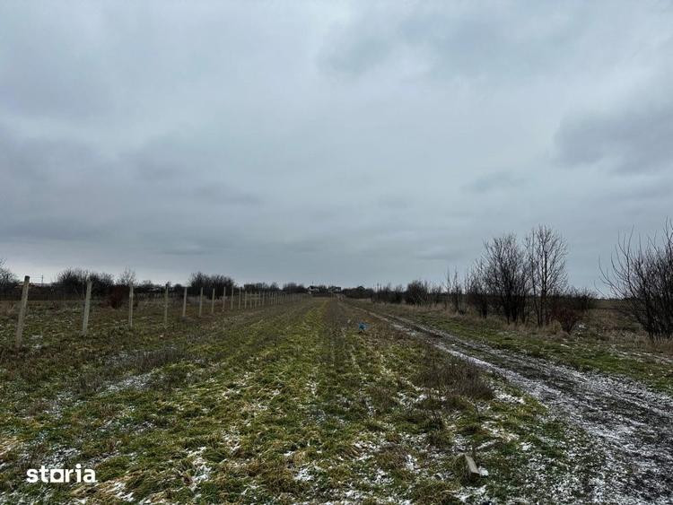 Teren de 10000 mp, în Coșoveni