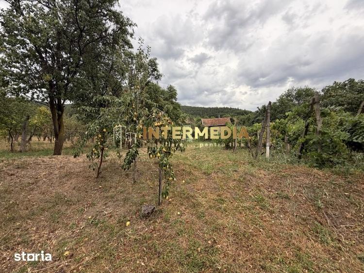 Casă cu 3 camere cu Teren 1375 Mp în Cricău