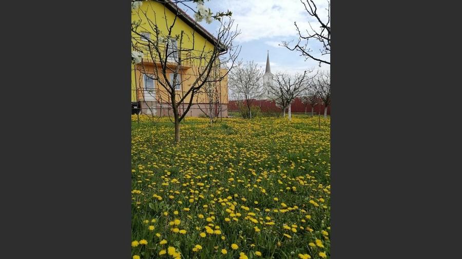 Casă cu 5 camere cu Canalizare în 1 Decembrie