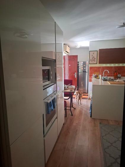 GOSPODĂRIE  COMPLET UTILATA 120.000 EURO - 6
