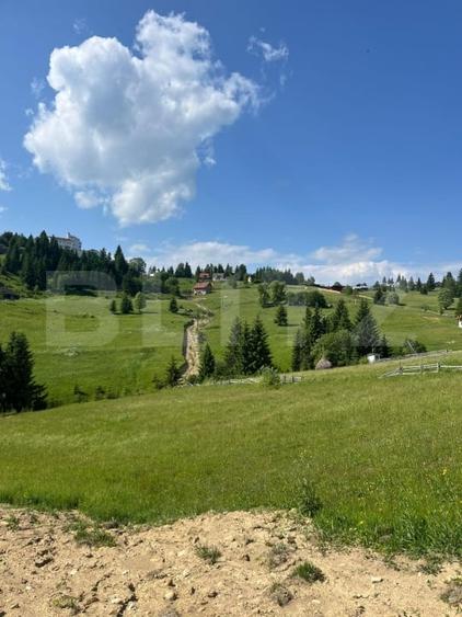 Teren Construcții extravilan de 1800 mp, în Nord
