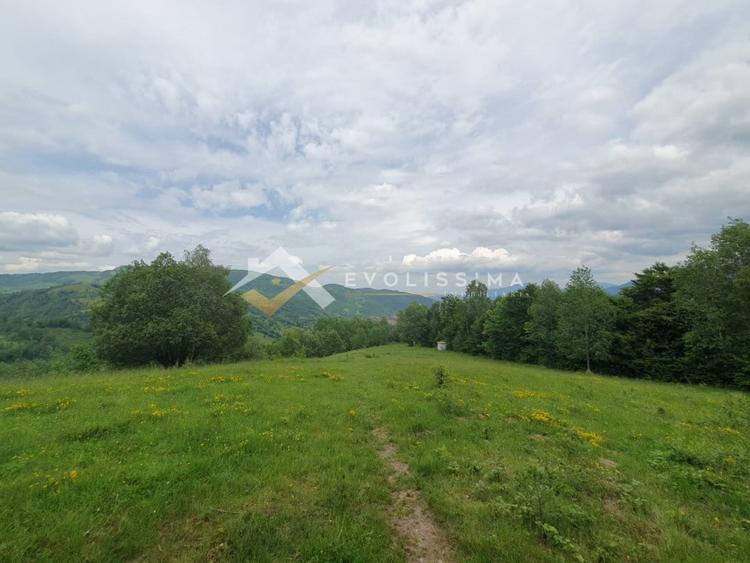 Teren Construcții intravilan de 11396 mp, în Moieciu de Jos