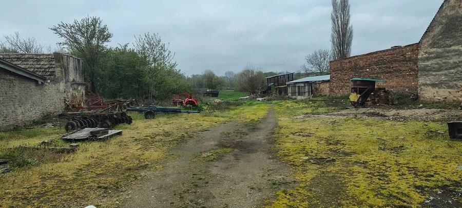 Casă cu Teren 1770 Mp în Socol
