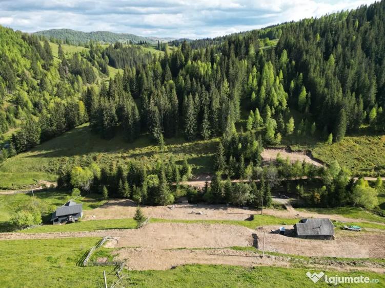 Vand teren intravilan in Bai?oara - 12