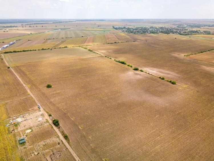 Teren Construcții intravilan de 11332 mp, în Dascălu