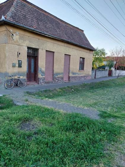 Casă cu Teren 2158 Mp în Comloșu Mare