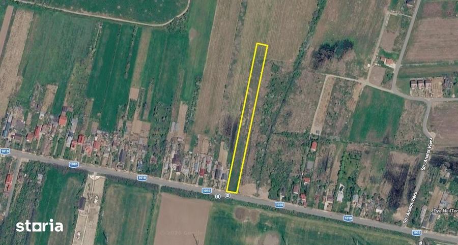 Teren de 6296 mp, în Snagov