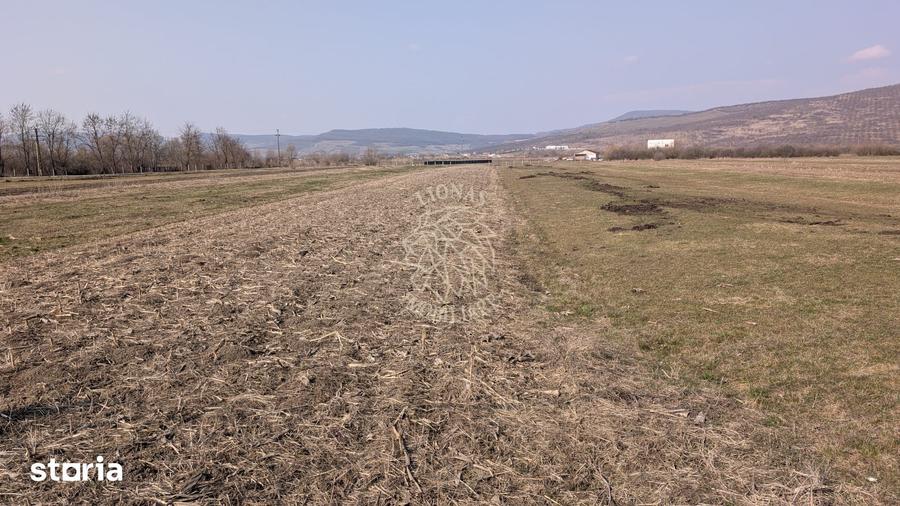 Teren de 1500 mp, în Cetate