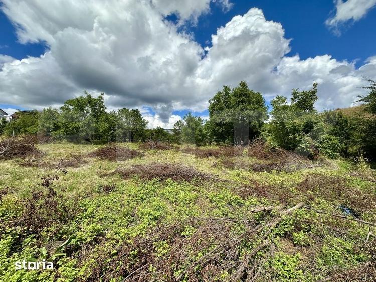 Teren construibil, 859 mp, zona Dambu Rotund - 1