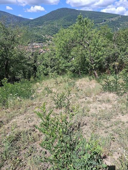 Teren de 770 mp, în Central
