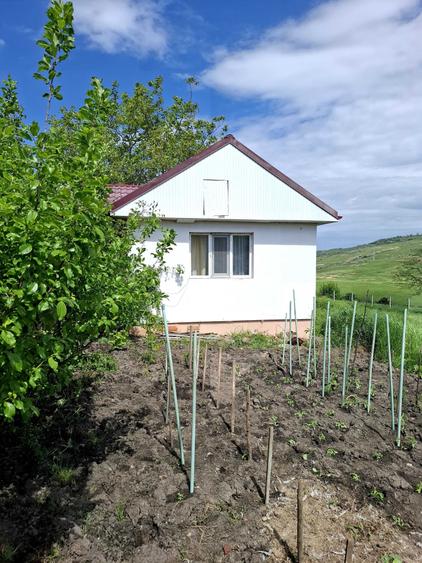 Casă cu 3 camere în Frumoasa