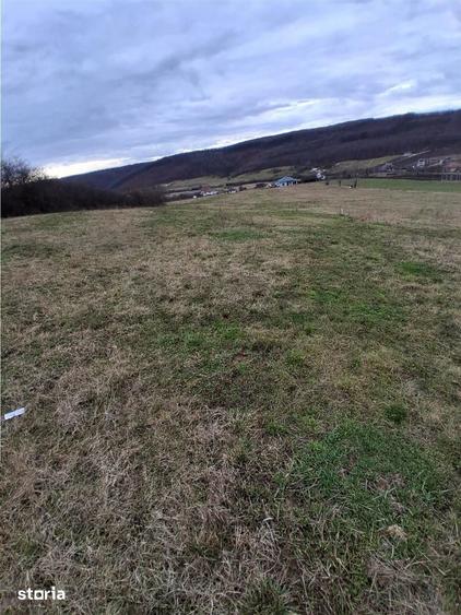 Teren de 5487 mp, în Sânmartin