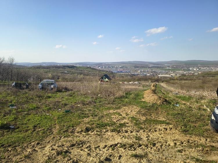 Teren Vladiceni , Tomesti panorama deosebita - 1