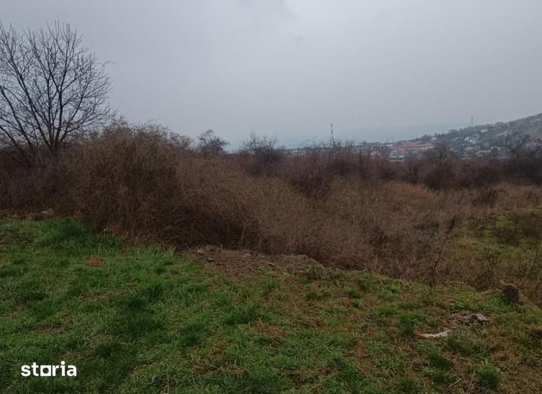 Teren de 11000 mp, în Tomești