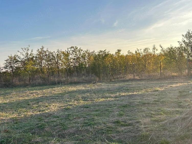 Teren de 920 mp, în Pruni