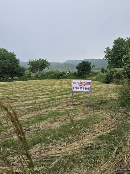 Spațiu comercial, în Măgureni