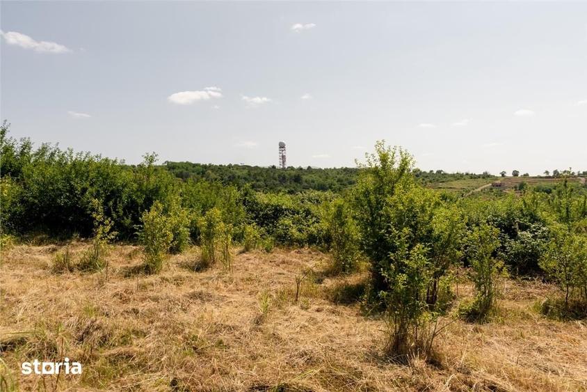 Teren de 1200 mp, în Oncea