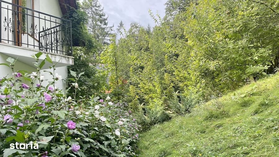 Casă cu 6 camere cu Teren 500 Mp în Dâmbul Morii