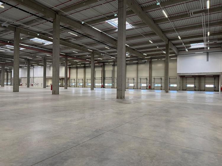 Hală suprafețe disponibile 1.000-40.000mp - 1