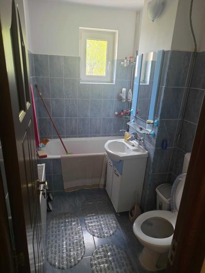 Apartament cu 2 camere decomandat în Botizului