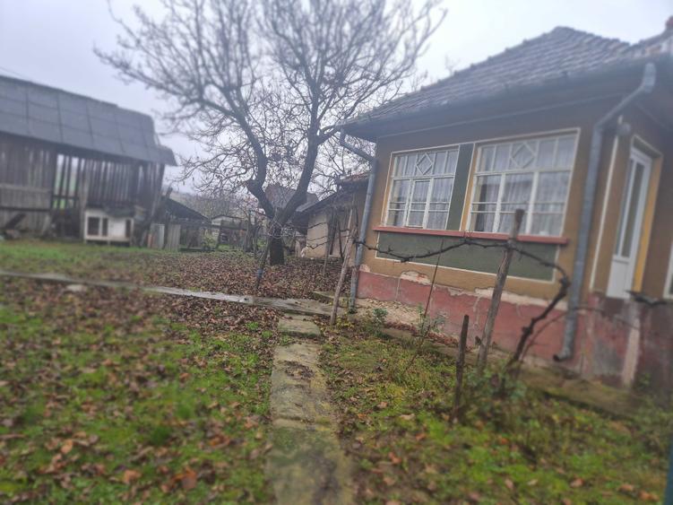 Casa de vanzare in localitatea Pagaia, Bihor - 1