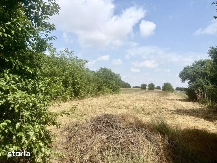 Casă cu 3 camere cu Teren 3000 Mp în Lipia