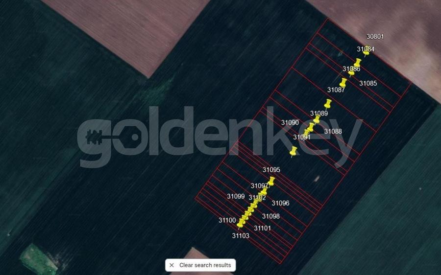 Teren agricol extravilan de 196378 mp, în Colibași