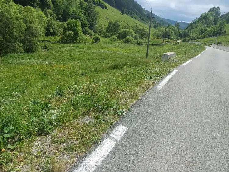 Teren de 3500 mp, în Muntele Băișorii