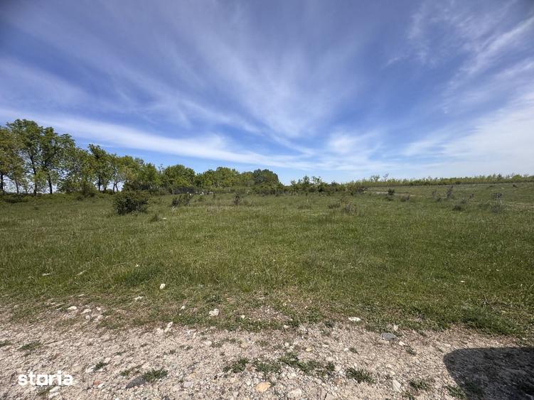 Giroc-Calea Urseni, Parcela teren, Oportunitate investitie - 3