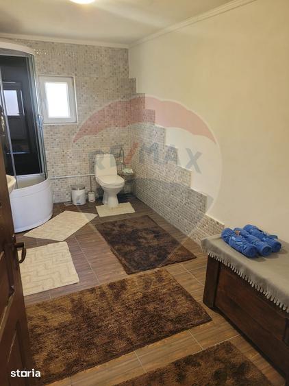 Casă cu 4 camere cu Teren 16499 Mp în Baia de Fier