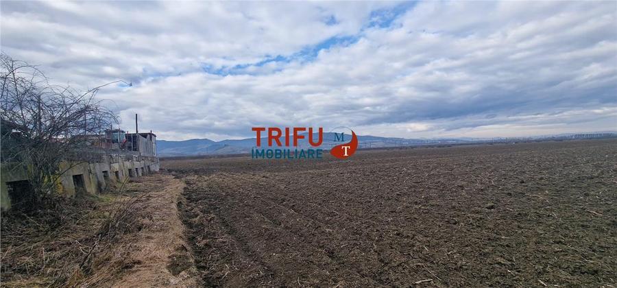 Teren Construcții intravilan de 1600 mp, în Ampoi 1