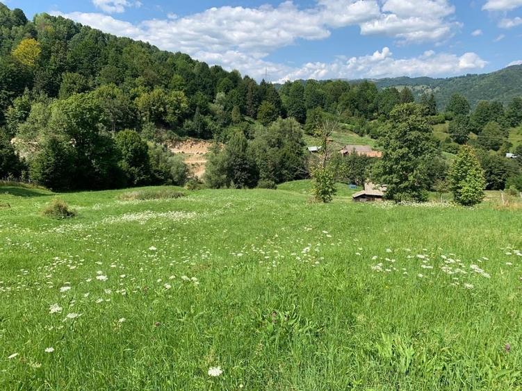 Teren de 40000 mp, în Diaconești