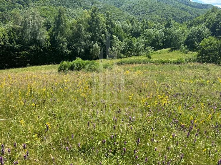 Teren Construcții intravilan de 4600 mp, în Cisnădioara