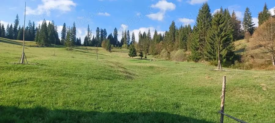 Teren de 28307 mp, în Coșna