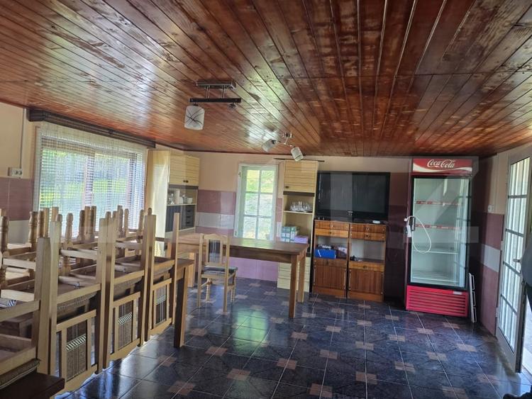 Teren agricol extravilan de 16000 mp, în Hodac